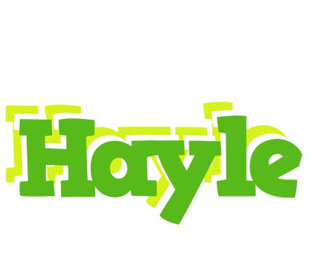 Hayle picnic logo