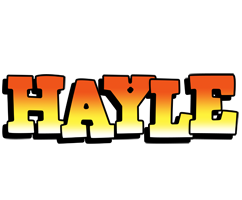 Hayle sunset logo