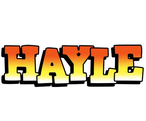 Hayle sunset logo