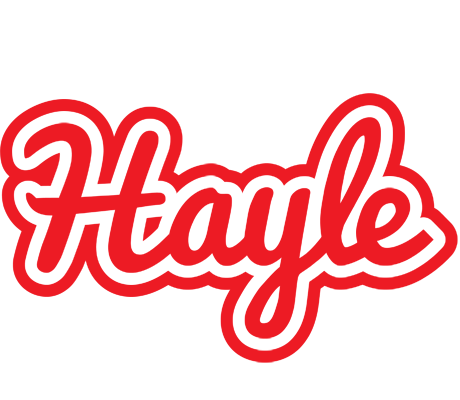 Hayle sunshine logo