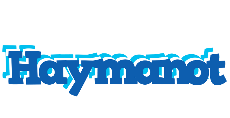 Haymanot business logo