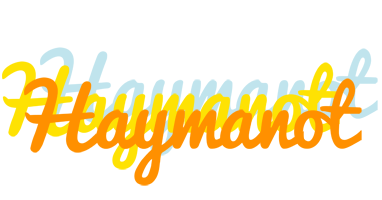 Haymanot energy logo