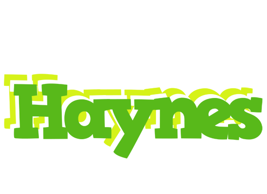 Haynes picnic logo