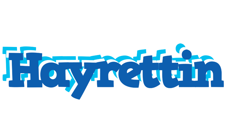 Hayrettin business logo