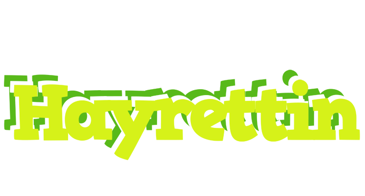 Hayrettin citrus logo