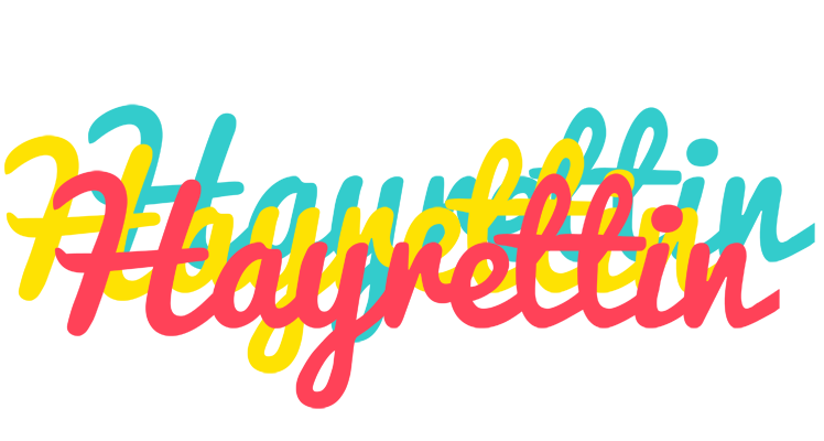 Hayrettin disco logo
