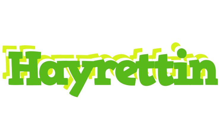 Hayrettin picnic logo