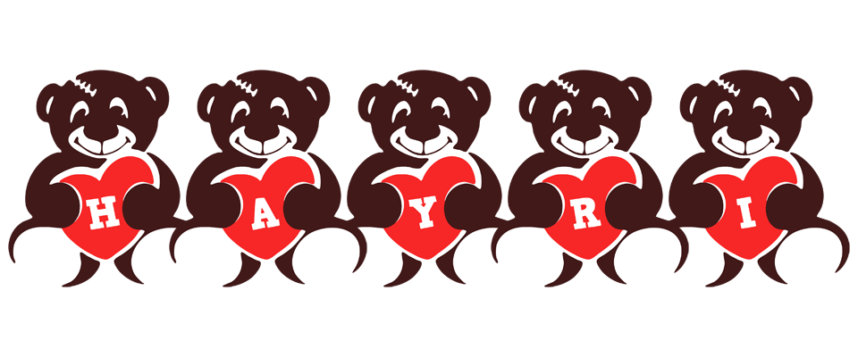 Hayri bear logo