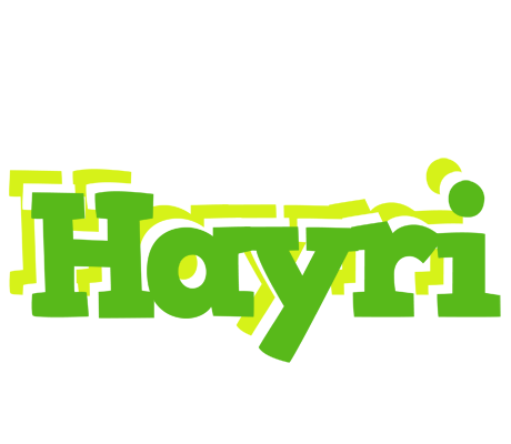 Hayri picnic logo