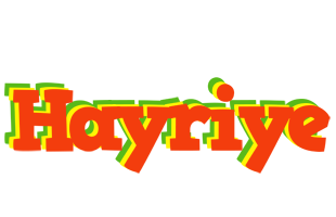 Hayriye bbq logo
