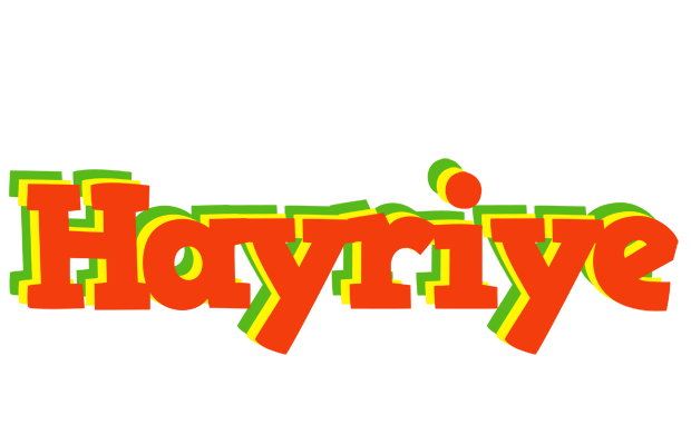 Hayriye bbq logo