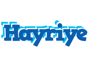 Hayriye business logo