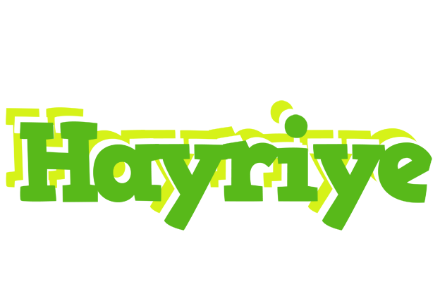 Hayriye picnic logo