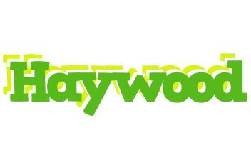 Haywood picnic logo