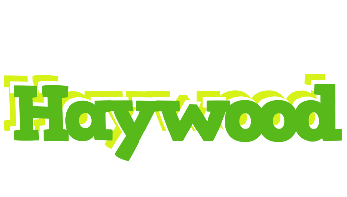 Haywood picnic logo