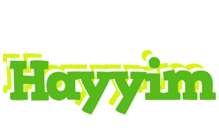 Hayyim picnic logo