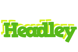 Headley picnic logo