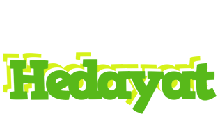 Hedayat picnic logo