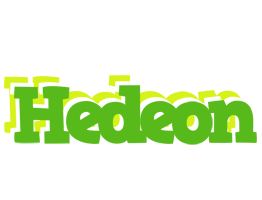 Hedeon picnic logo