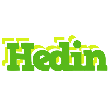 Hedin picnic logo