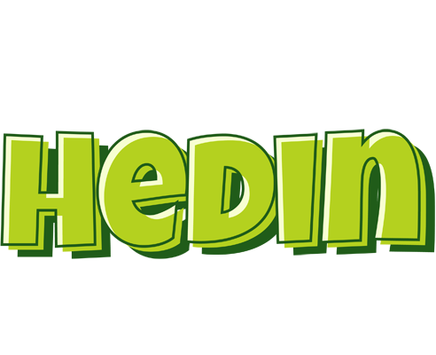 Hedin summer logo