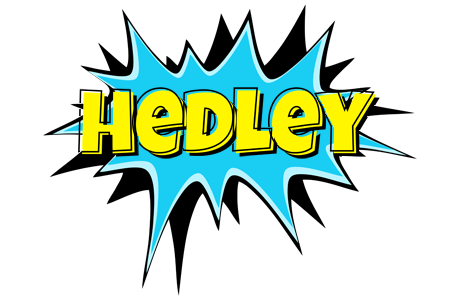 Hedley amazing logo