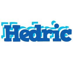 Hedric business logo