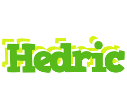 Hedric picnic logo