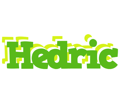 Hedric picnic logo
