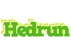 Hedrun picnic logo