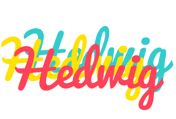 Hedwig disco logo