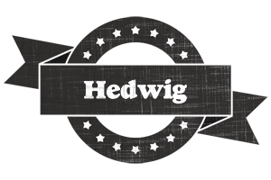 Hedwig grunge logo