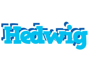 Hedwig jacuzzi logo