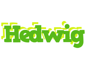 Hedwig picnic logo