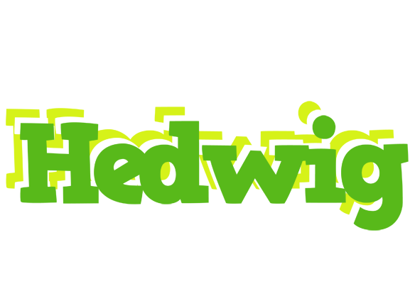 Hedwig picnic logo
