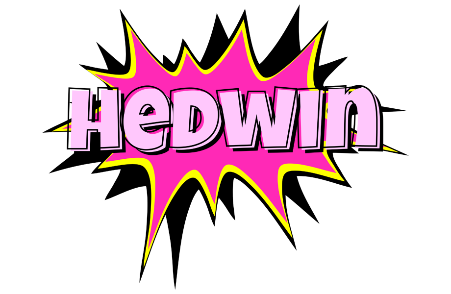 Hedwin badabing logo