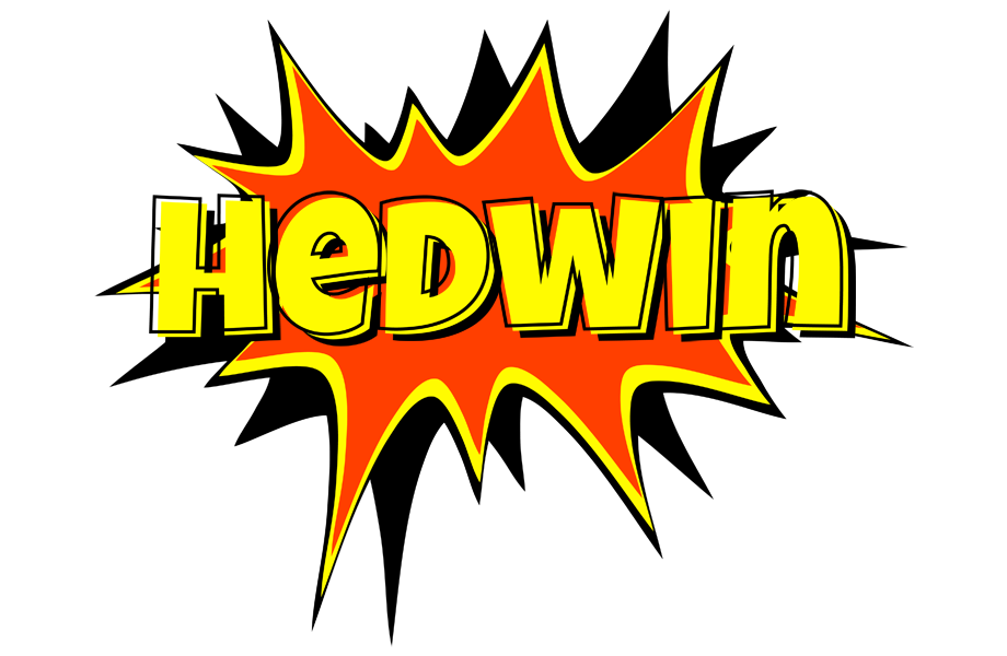 Hedwin bazinga logo