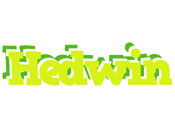 Hedwin citrus logo