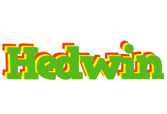 Hedwin crocodile logo