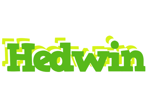 Hedwin picnic logo