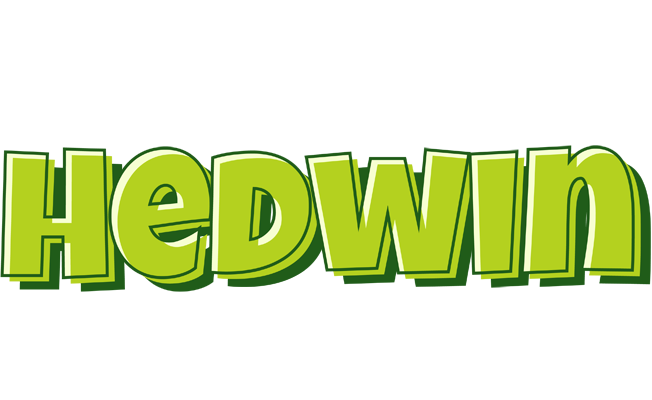Hedwin summer logo