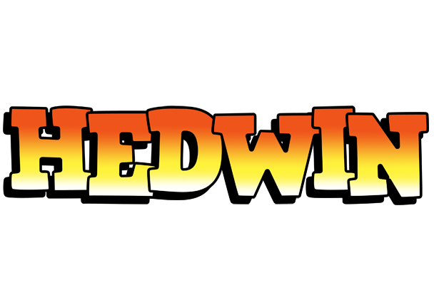 Hedwin sunset logo