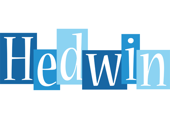 Hedwin winter logo
