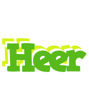 Heer picnic logo