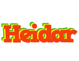 Heidar bbq logo