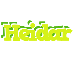 Heidar citrus logo