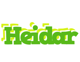 Heidar picnic logo