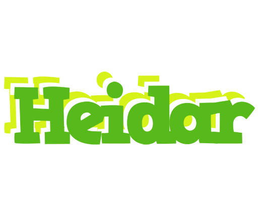 Heidar picnic logo