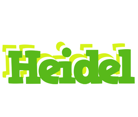 Heidel picnic logo