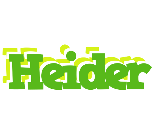 Heider picnic logo